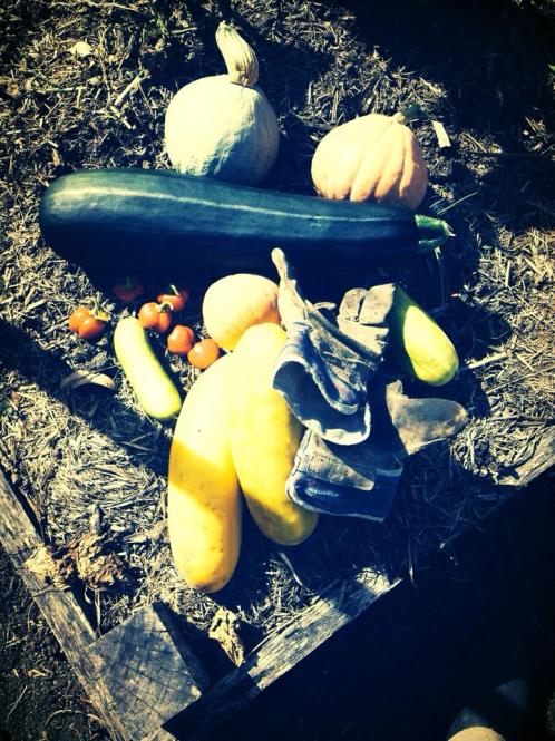 Home grown vegetables