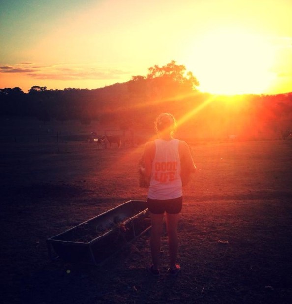 Good Life Farm Sunset