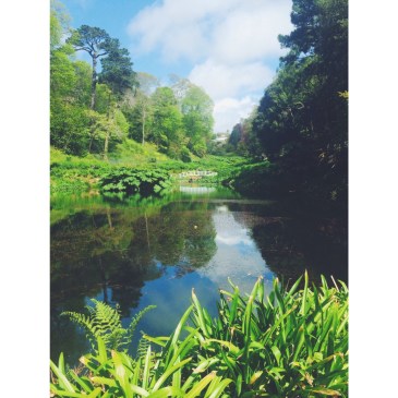 Cornwall Trebah Gardens