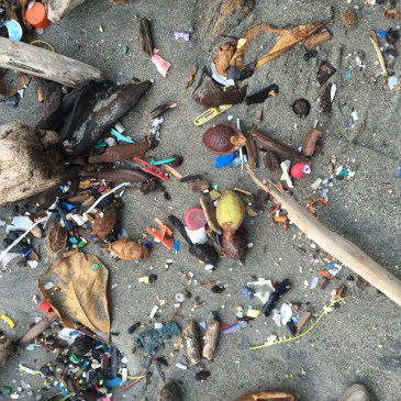 Montezuma costa rica trash on the beach