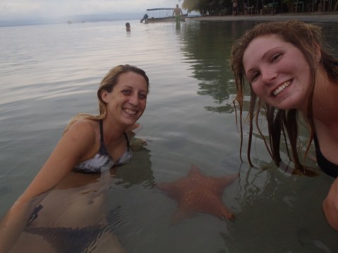 Starfish beach Bocas Del toro