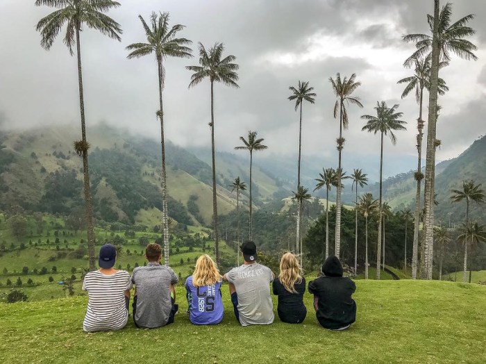 Cocora Valley, Colombia